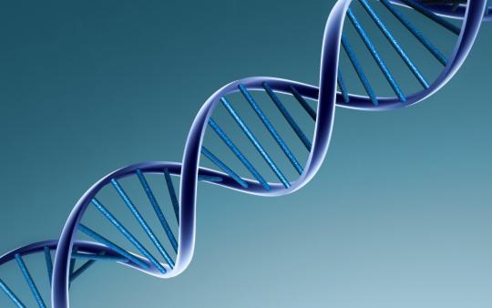 Новый метод генного ремонта для регенеративной медицины